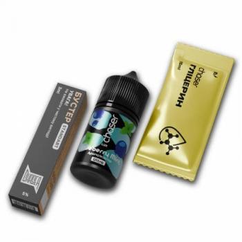 Набор для самостоятельного изготовления Chaser Lux Salt 50 Blueberry Mint 30 мл