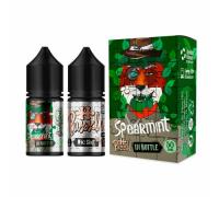 Набор для самостоятельного изготовления In Bottle Puzzle Salt 50 Spearmint 30 мл